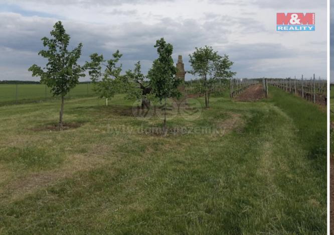 Prodej zahrady, Oleksovice, 385 m2