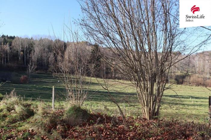 Prodej louky, Brloh, 2808 m2