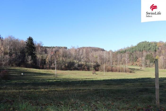 Prodej louky, Brloh, 2808 m2