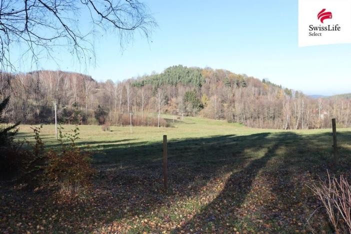 Prodej louky, Brloh, 2808 m2