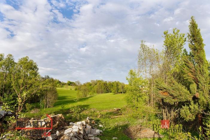 Prodej pozemku pro bydlení, Stružinec - Tuhaň, 6545 m2