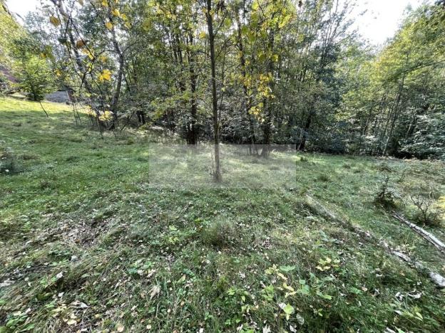 Prodej chalupy, Tanvald - Šumburk nad Desnou, 205 m2