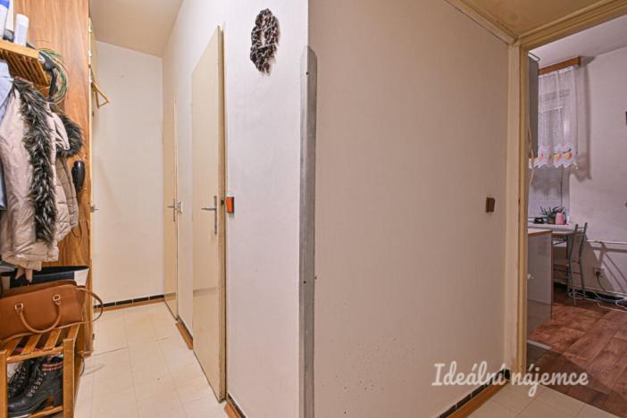 Pronájem bytu 1+1, Brno - Řečkovice, Ječná, 40 m2