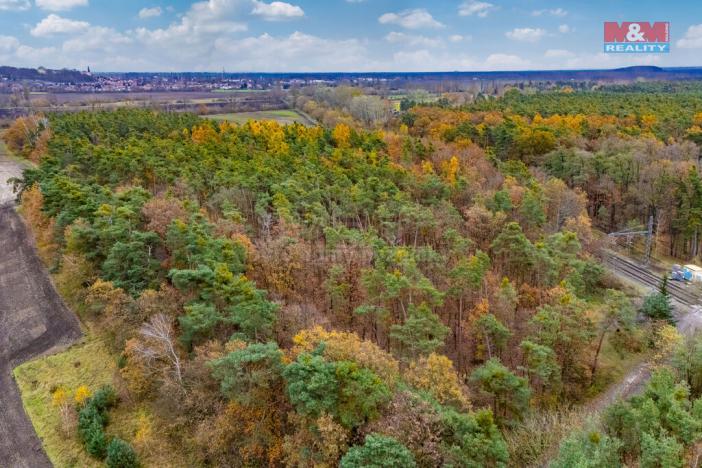 Prodej lesa, Lysá nad Labem, 6436 m2