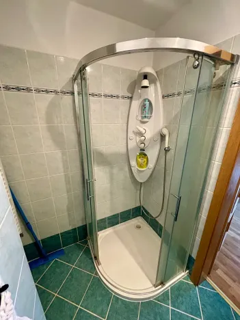 Prodej vícegeneračního domu, Klatovy, Kličkova, 394 m2