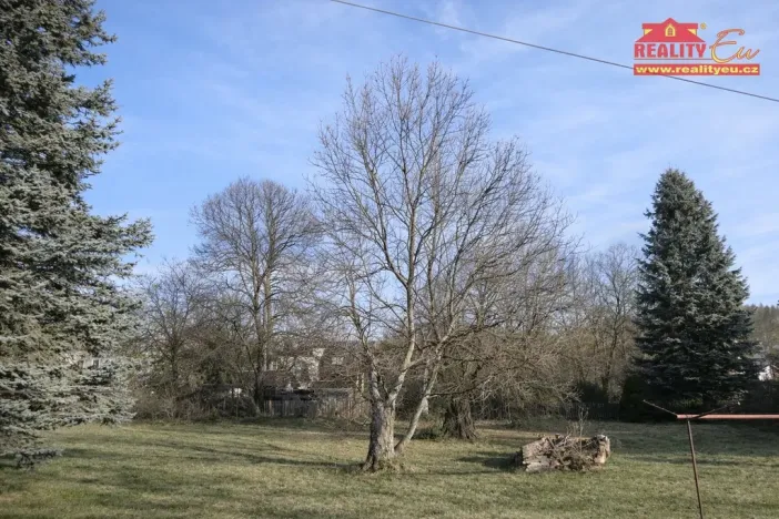 Prodej pozemku pro bydlení, Olešnice v Orlických horách, 1100 m2