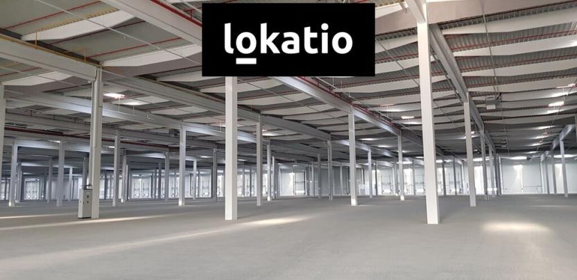 Pronájem skladu, Ostrov, 38800 m2
