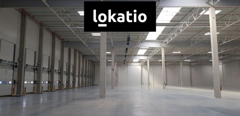 Pronájem skladu, Ostrov, 38800 m2