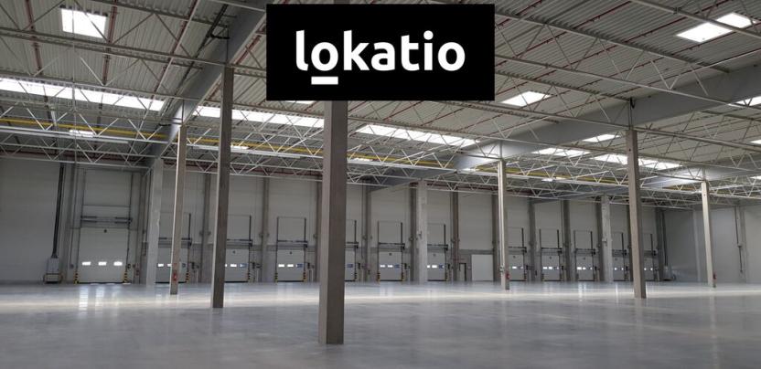 Pronájem skladu, Ostrov, 38800 m2