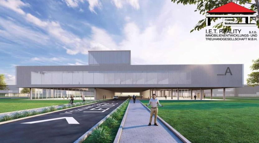 Pronájem komerčního pozemku, Planá, 1303200 m2