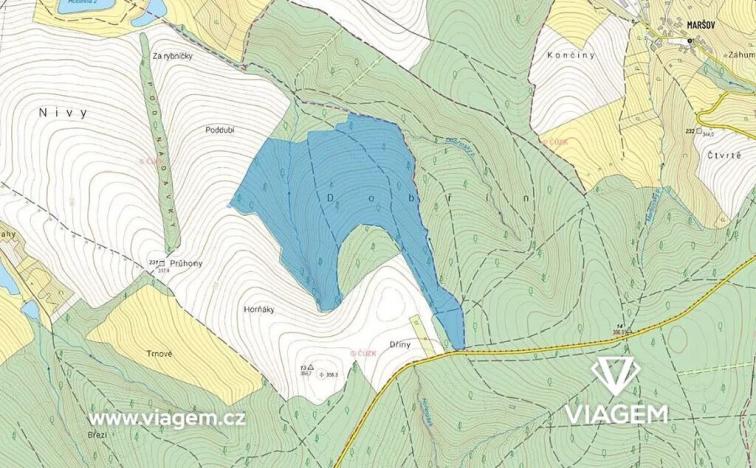 Prodej podílu lesa, Prakšice, 7220 m2