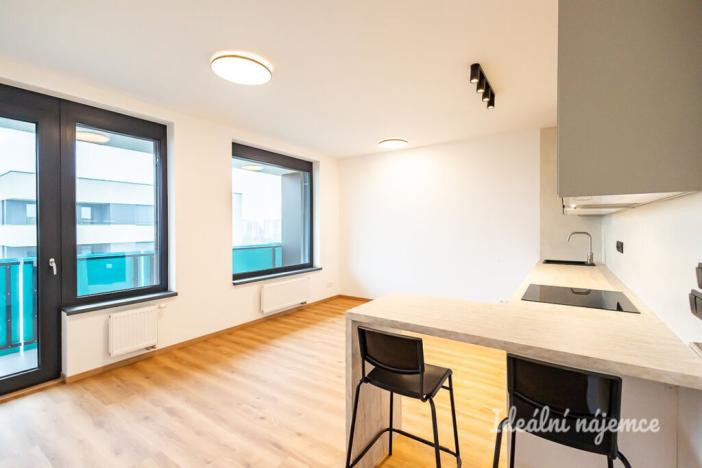 Pronájem bytu 1+kk, Praha - Žižkov, Olgy Havlové, 32 m2