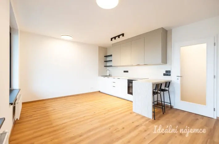 Pronájem bytu 1+kk, Praha - Žižkov, Olgy Havlové, 32 m2