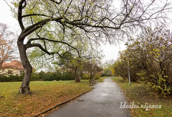 Pronájem bytu 1+kk, Praha - Žižkov, Olgy Havlové, 32 m2