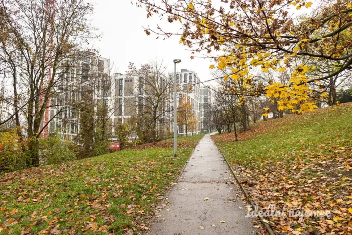 Pronájem bytu 1+kk, Praha - Žižkov, Olgy Havlové, 32 m2