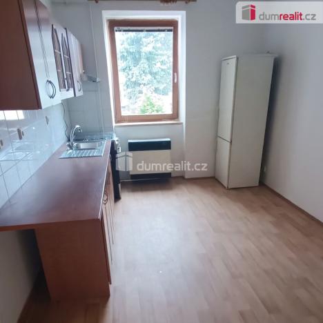 Pronájem bytu 1+1, Děčín - Děčín VI-Letná, Fibichova, 44 m2