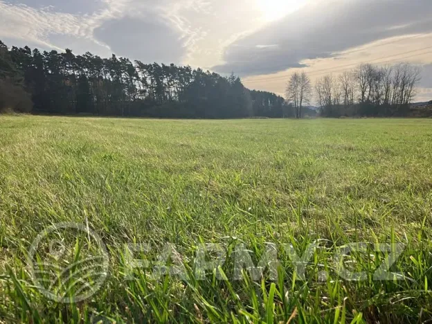 Prodej louky, Bor, 20710 m2