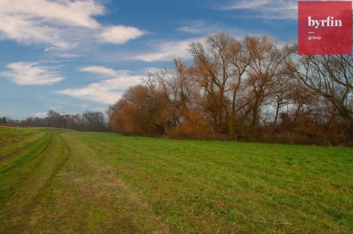 Prodej pole, Bukovany, 604 m2