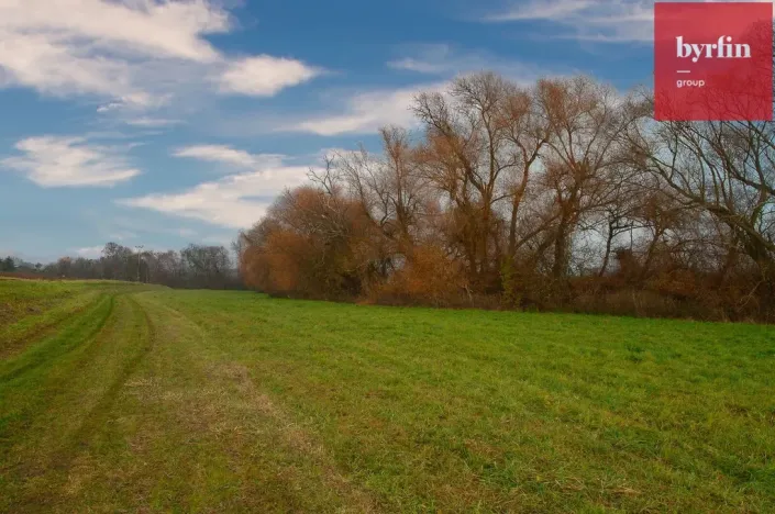 Prodej pole, Bukovany, 604 m2