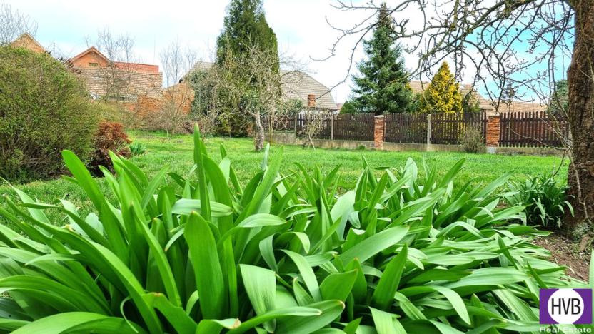 Prodej rodinného domu, Zlonice, Riegrova, 187 m2