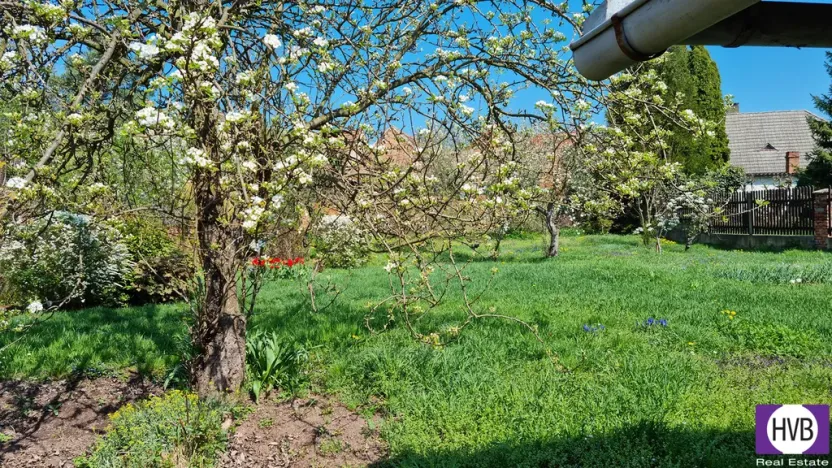 Prodej rodinného domu, Zlonice, Riegrova, 187 m2