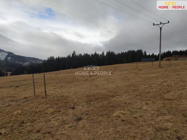 Prodej louky, Horská Kvilda, 1321 m2