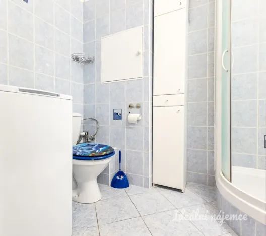 Pronájem bytu 1+kk, Praha - Střížkov, Habartická, 32 m2