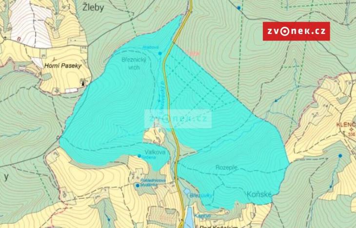 Prodej lesa, Březůvky, 9964 m2