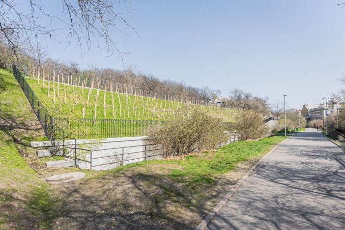 Prodej komerční nemovitosti, Praha - Žižkov, Chlumova, 420 m2