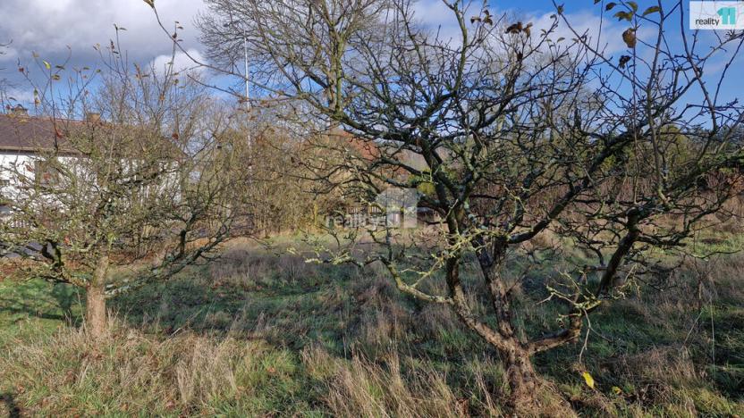 Prodej louky, Dalovice, Sedmidomky, 1669 m2