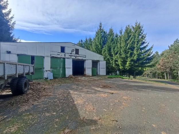 Prodej zemědělského objektu, Růžďka, 8862 m2