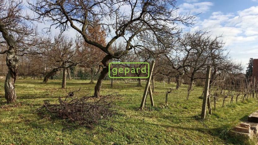 Prodej podílu 1/2 rodinného domu, Ořechov, Ořechovičská, 567 m2