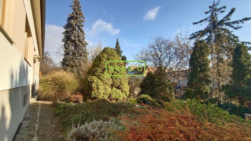 Prodej podílu 1/2 rodinného domu, Ořechov, Ořechovičská, 567 m2