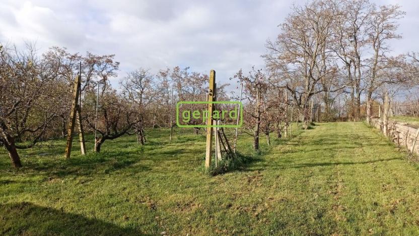 Prodej podílu 1/2 rodinného domu, Ořechov, Ořechovičská, 567 m2