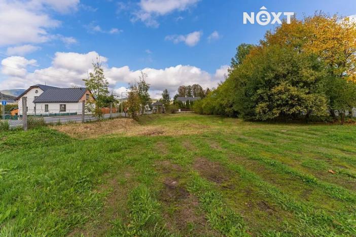 Prodej komerčního pozemku, Velké Losiny, 1055 m2