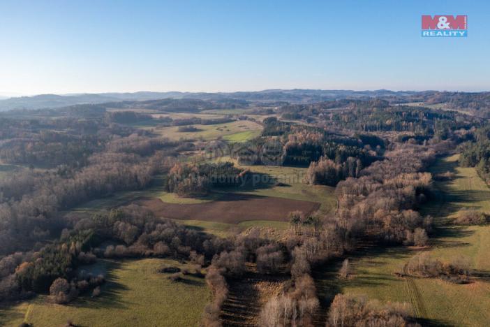 Prodej lesa, Nalžovské Hory - Nalžovy, 25838 m2