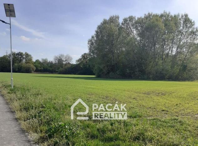 Prodej rybníku, Kožušany-Tážaly - Kožušany, 15995 m2