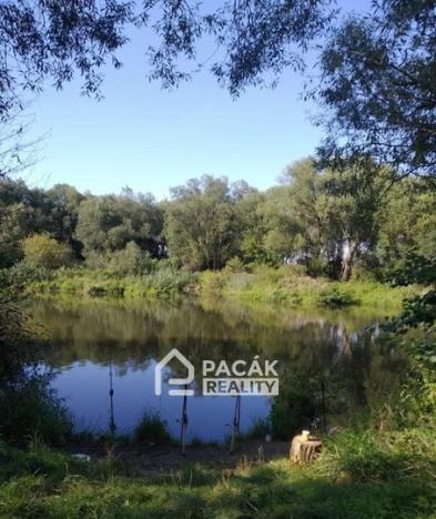 Prodej rybníku, Kožušany-Tážaly - Kožušany, 15995 m2