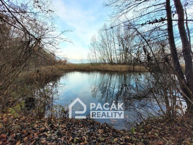 Prodej rybníku, Kožušany-Tážaly - Kožušany, 15995 m2