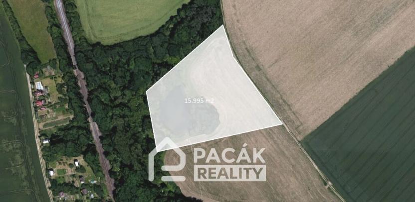 Prodej rybníku, Kožušany-Tážaly - Kožušany, 15995 m2