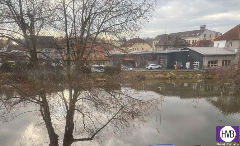 Prodej rodinného domu, Horšovský Týn, Žižkova, 517 m2