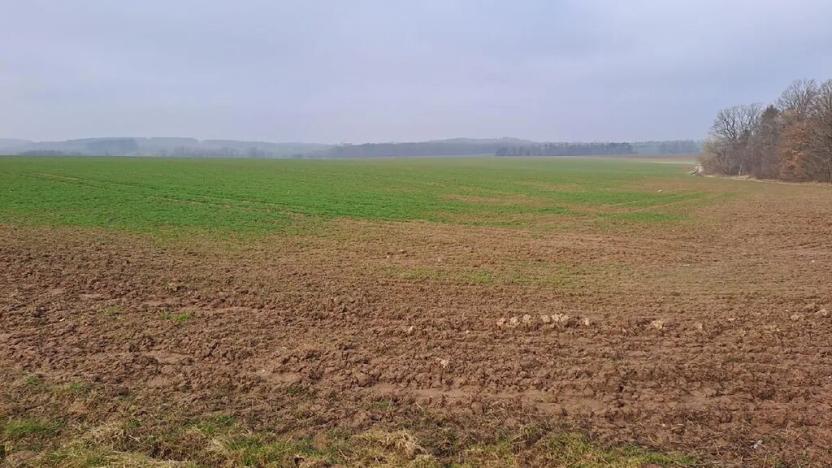 Prodej zahrady, Oleška, 140 m2