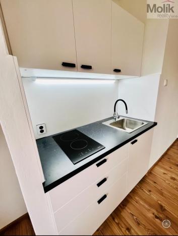 Pronájem bytu 1+kk, Teplice, Svojsíkova, 23 m2