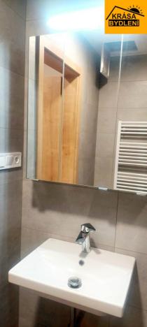 Pronájem bytu 1+kk, Olomouc, Frištenského, 32 m2