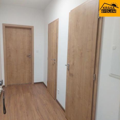 Pronájem bytu 1+kk, Olomouc, Frištenského, 32 m2