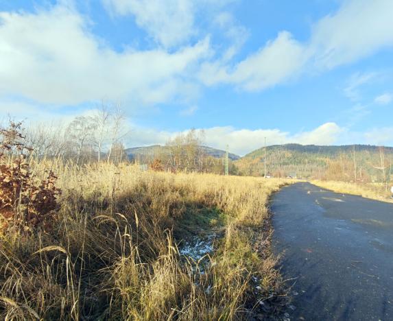 Prodej komerčního pozemku, Hroznětín, Nádražní, 16411 m2