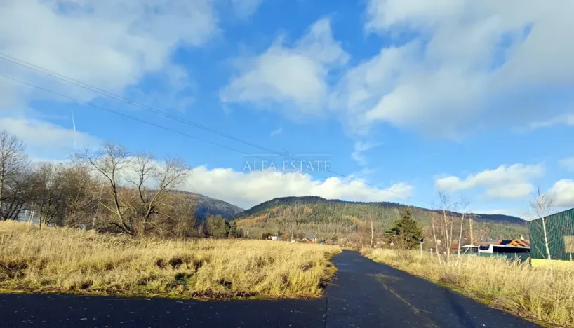 Prodej komerčního pozemku, Hroznětín, Nádražní, 16411 m2