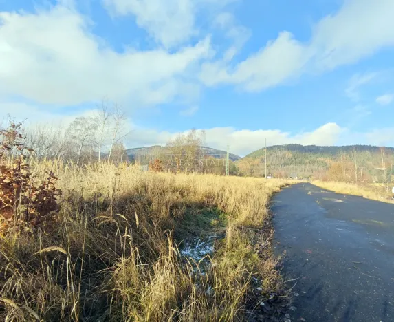 Prodej komerčního pozemku, Hroznětín, Nádražní, 16411 m2