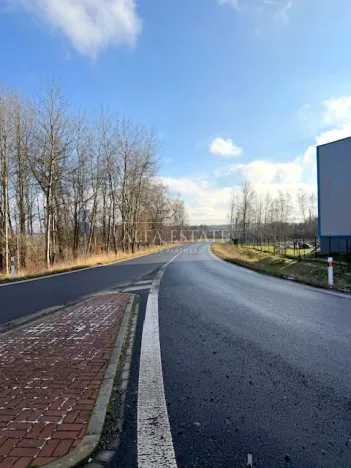 Prodej komerčního pozemku, Hroznětín, Nádražní, 16411 m2