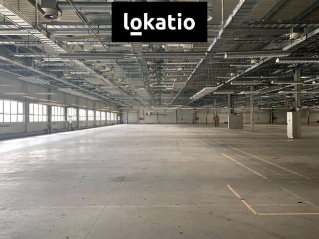 Pronájem skladu, Plzeň, 5000 m2